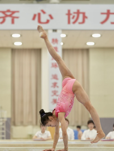 杏彩心情里的柔软瞬间